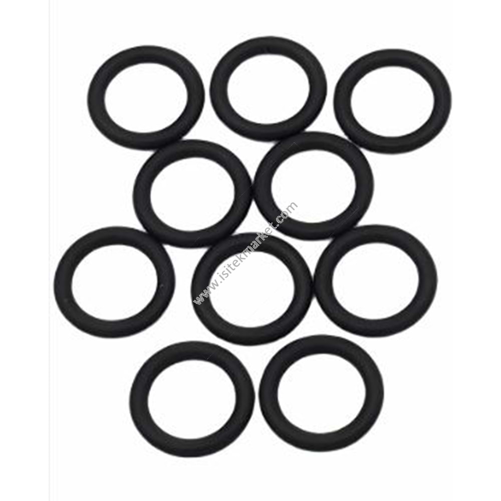 ORING VAI 0020076003 13,4X3,17 10 ADET