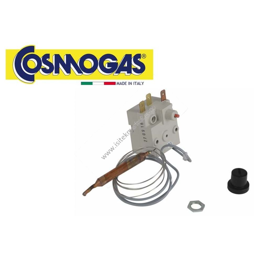 THERMOSTAT COSMO 62101008