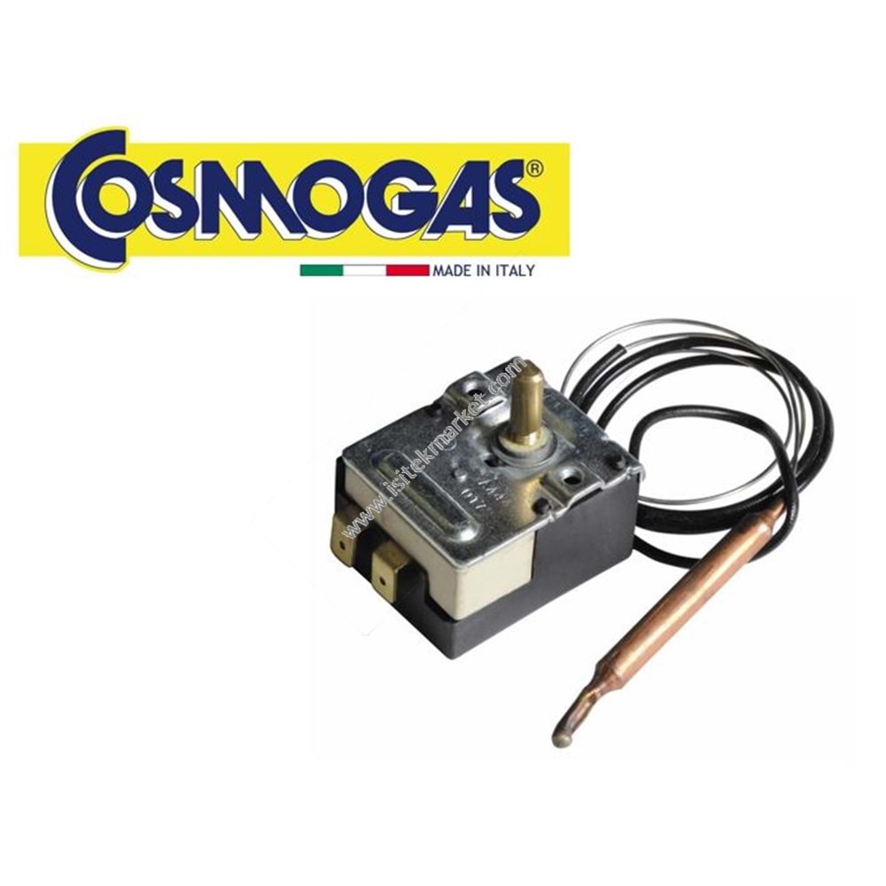 THERMOSTAT COSMO 62101044