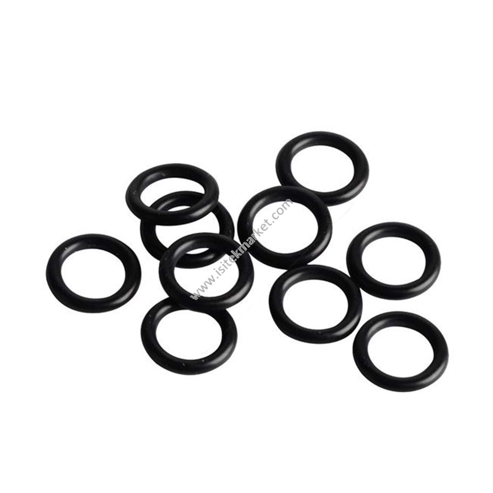 BSC JUNKERS WORCESTER BUDR ELM LEB ORING SETİ 87102050760