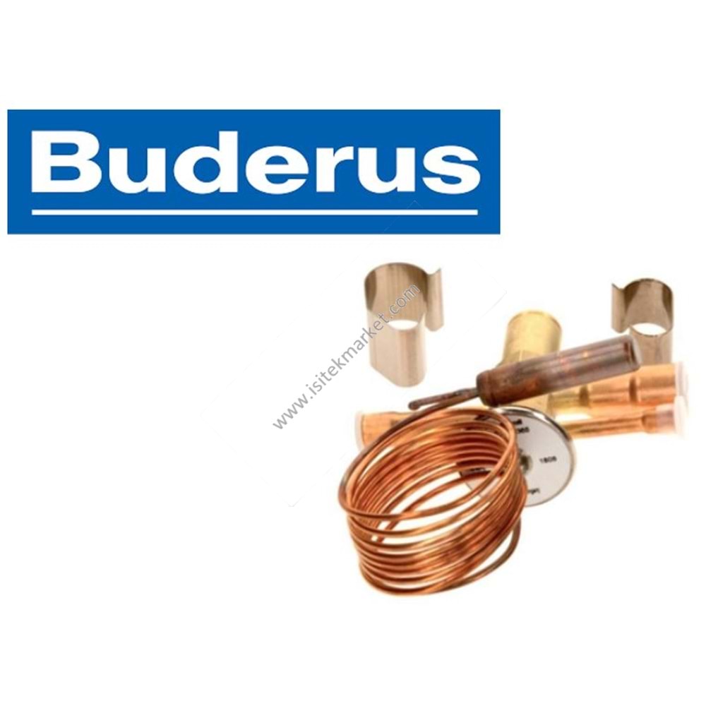 VALF ISI POMPASI İÇİN BSC BUDR 87183100120 TE170-1/EHP 14-17 LW