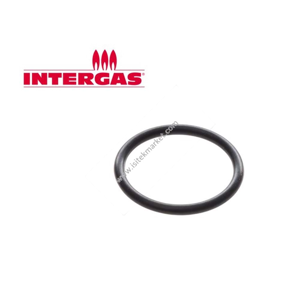 INTERGAS ORING GAZ VALFİ 875827