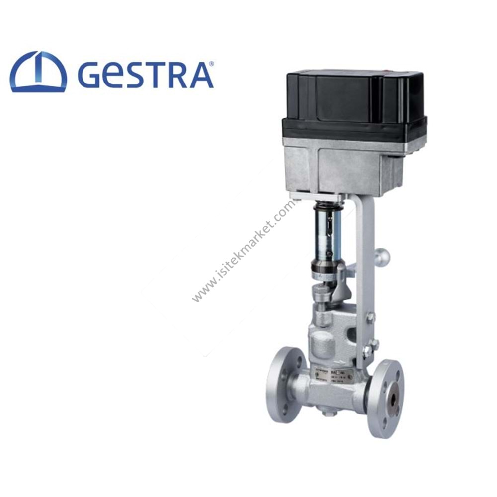 TAHLİYE VANASI FLANŞLI GESTRA BAE46 DN25 PN40