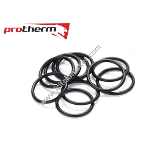 PRTH ORING SETİ 0020033431