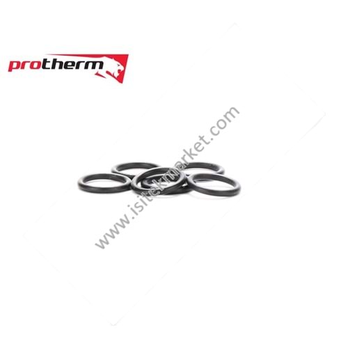 PRTH ORING SETİ 0020038089 15,54 X2,62 MM 10 ADET