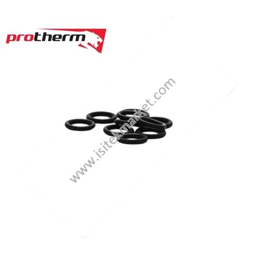 PRTH ORING SETİ 0020038132 9X2 MM 10 ADET