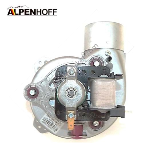 FAN ALPENHOFF 15199034