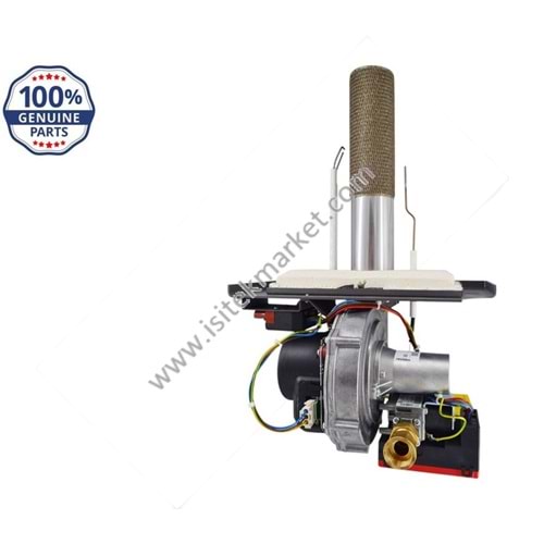 FAN GRUBU ACV 237D0156 BG2000 S/55 V13