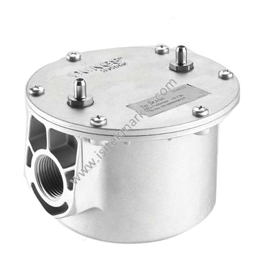 DUNGS 279855 GF 60065-4 DN65 6 BAR GAZ FİLTRESİ