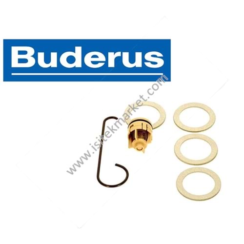 CHECK VALVE BSC WORCESTER BUDR 7736601173 HSM25/4