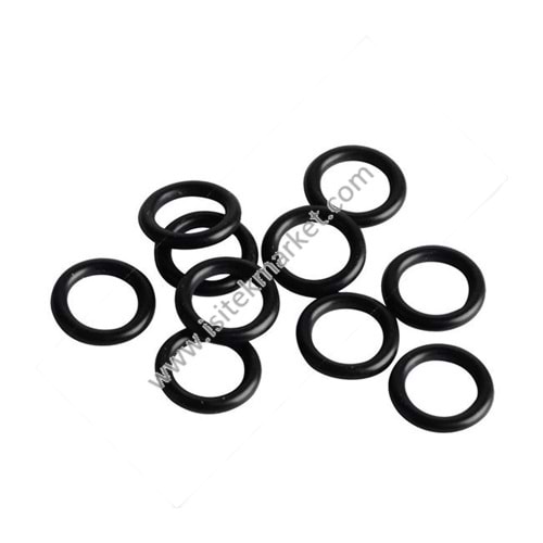 BSC JUNKERS WORCESTER BUDR ELM LEB ORING SETİ 87102050760