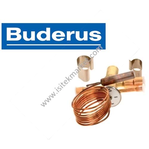 VALF ISI POMPASI İÇİN BSC BUDR 87183100120 TE170-1/EHP 14-17 LW