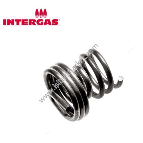 INTERGAS BRÜLÖR YAKICI ÜNİTESİ 873577