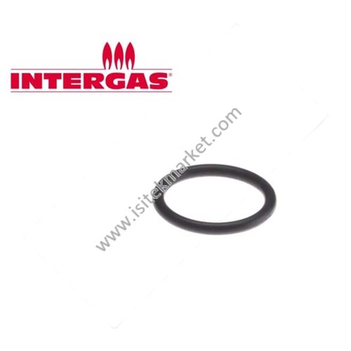 INTERGAS ORING FAN BORUSU 875737