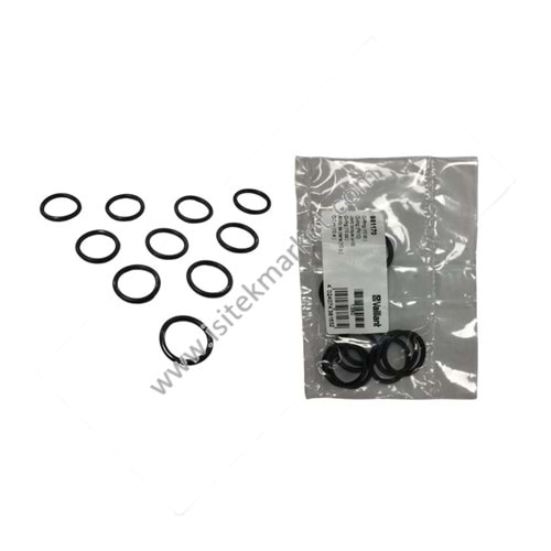 ORING VAI 981170