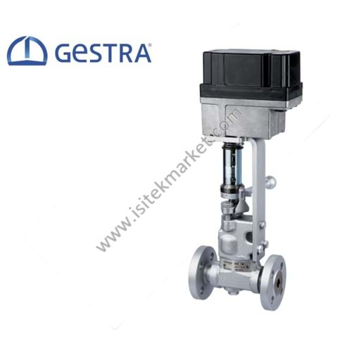 TAHLİYE VANASI FLANŞLI GESTRA BAE46 DN25 PN40