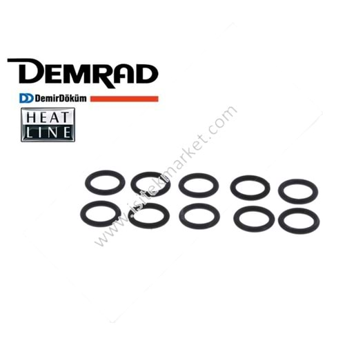 DEMİRDÖKÜM ORING SETİ D303200756