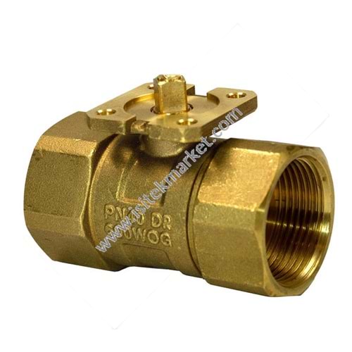 SIEMENS VAI60.20-22 PN40 2Y DİŞLİ VANA